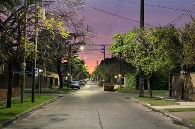 Road by trees in city against sky