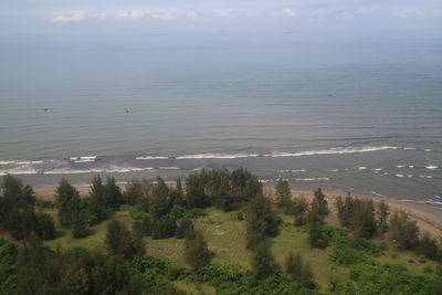High angle view of trees and sea against sky