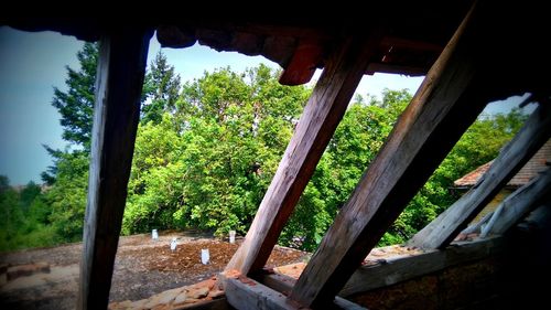 View of trees through window