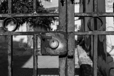 Close-up of padlock on metal gate