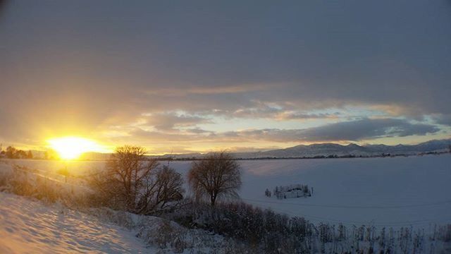 snow, winter, cold temperature, sunset, season, sun, tranquil scene, tranquility, weather, scenics, covering, beauty in nature, landscape, frozen, nature, sky, field, sunlight, bare tree, snow covered