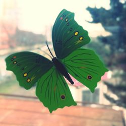 Butterfly perching on leaf