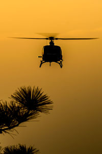 Low angle view of silhouette palm tree against orange sky