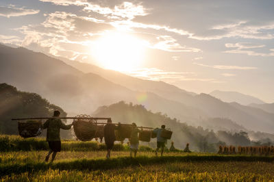 Scenic view of field against sky during sunset