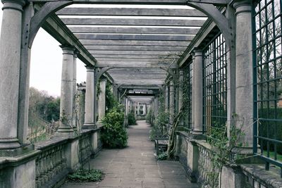 Walkway amidst trees against sky