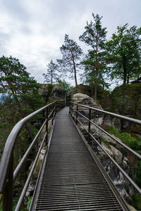 View of footbridge along trees