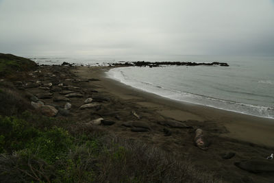 Scenic view of beach against sky