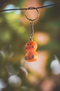 Close-up of ladybug hanging from toy