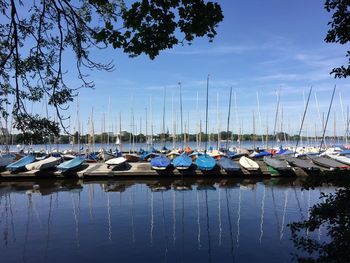 Boats moored at harbor