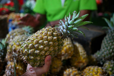 Close-up of hand holding pineapple