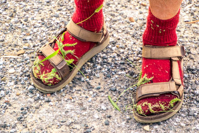 Low section of boy wearing shoes outdoors