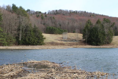 Scenic view of lake against sky