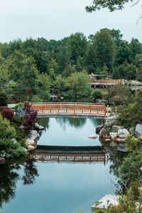 Reflections of the bridge on the lake in the japanese garden