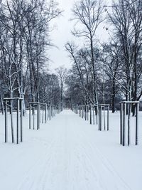 Snow covered trees in winter