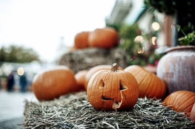 Close-up of pumpkin on pumpkins during autumn