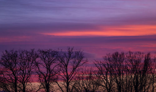 Silhouette bare trees against dramatic sky during sunset