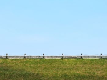 Scenic view of agricultural field against clear sky