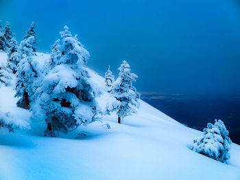 Snow covered land and trees against blue sky