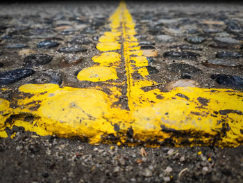 High angle view of yellow leaf on wet road