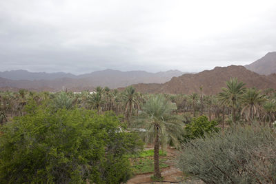 Scenic view of mountains