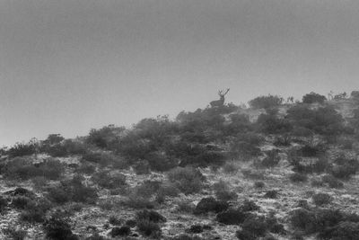 Low angle view of silhouette trees against sky