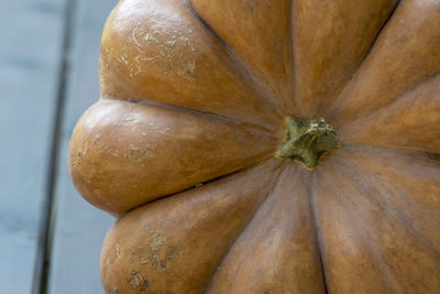 Close-up of pumpkin for sale