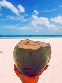 Person holding coconut on beach against sky