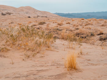 Scenic view of desert against sky