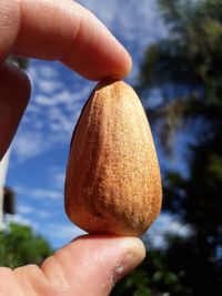 Close-up of hand holding apple