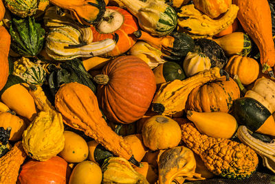 High angle view of pumpkins for sale at market stall