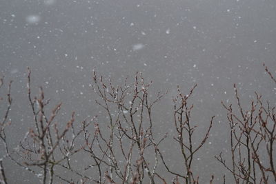 Scenic view of lake against sky during winter