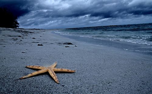 Scenic view of beach against cloudy sky