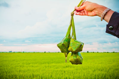 Cropped hand person holding food in leaf at farm against sky