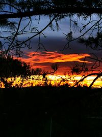 Silhouette trees on field against orange sky