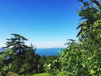 Scenic view of calm sea against clear sky