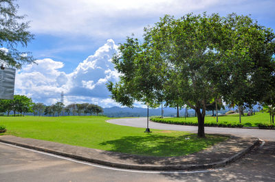 Trees on landscape against sky