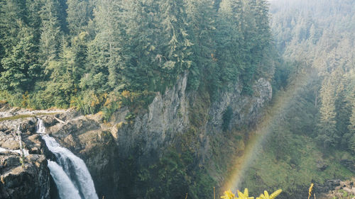 Scenic view of waterfall in forest