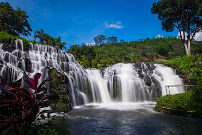 Scenic view of waterfall in forest