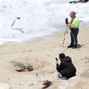 Full length of man photographing on beach