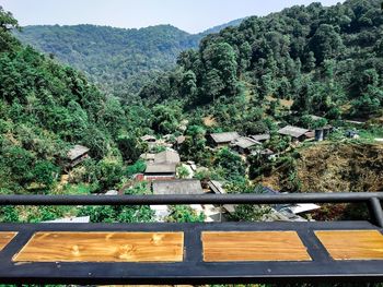 High angle view of trees and plants growing in forest