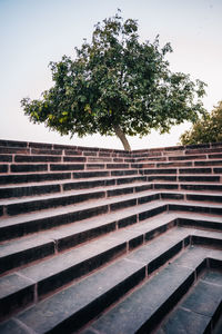 Low angle view of tree by building against sky