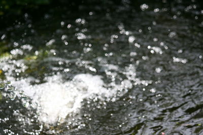 Close-up of water drops on white background