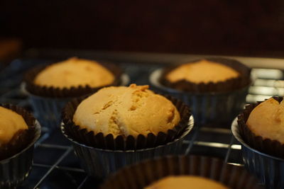 Close-up of cupcakes on tray