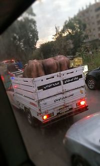 Close-up of cars on road against sky