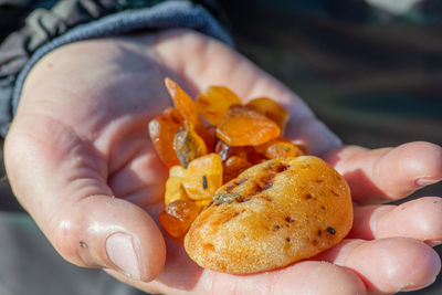 Amber catching in the baltic sea. pieces of amber in the hand of an amber catcher or fisherman