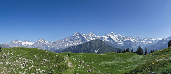 Scenic view of snowcapped mountains against clear blue sky