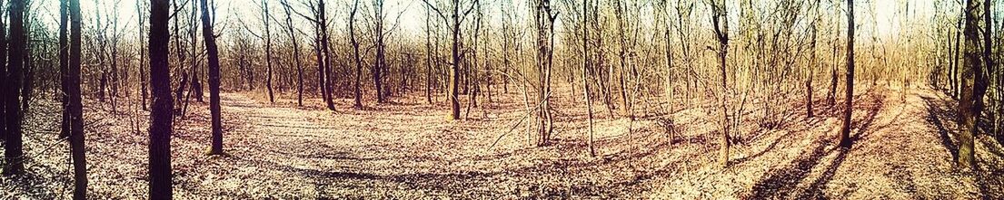 tranquility