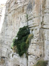 View of stone wall