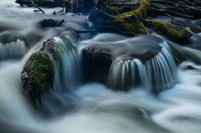 Scenic view of waterfall in forest