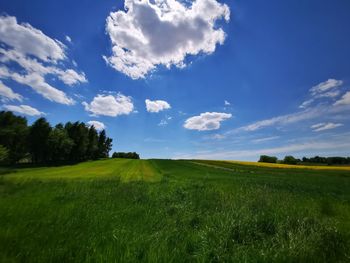 Scenic view of field against sky